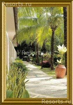 Patong Bayshore Hotel 11